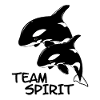 Orca killer whales