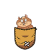 Hamster in der Bauchtasche