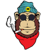 Monkey