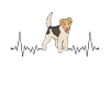 Foxterrier Herzschlag Drahthaar-Foxterrier