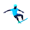 skateboard