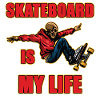 skateboard is my life