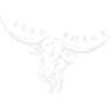 Bullshirt Texas Longhorn