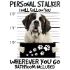 Saint Bernard