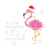 Flamingo Pink Christmas Santa Hat