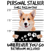 Welsh Corgi