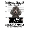 Pudel