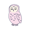 Owl Annoyed Funny