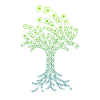 Tree of Bicycle Chains