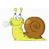 Snail