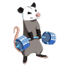 Culturisme Le levage croisé Opossum