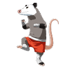 Muay Thai Opossum