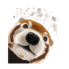 Curious Red Panda