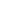 Saint Bernard Shirt