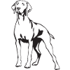 Rhodesian Ridgeback gaver RR hund elsker