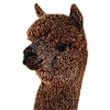 Alpaga, lama, cadeau, lama
