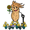 Peanut Gardener Gardening Flowers
