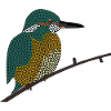 kingfisher