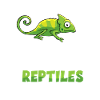 Need all reptiles - snakes