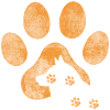 orange malamute paw