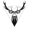 Deer geometric