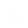 Kite