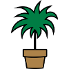Plant houseplant room plant