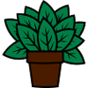 Pflanze Geschenkidee plant gift idea