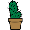 Cactus cactus penis