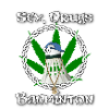 Sex, Drugs & Badminton
