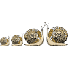 Escargots