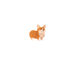 CORGI HERZSCHLAG