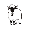 Black-nosed sheep 2
