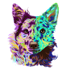 Splash Mudi Dog