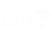 Bombe nucléaire Evolution