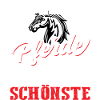 schönstes Pferd