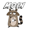 Waschbär Kaffee MOIN