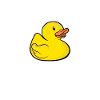 Programmierer Ente Programmieren Debugging Lustig
