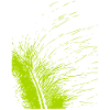 Abstract feather / line / green / pattern
