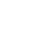 Car Auto