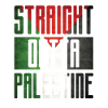 Palestina Palestinian Flag
