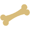 Dogs bones