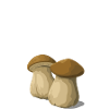 J’peux pas j’vais aux cèpes