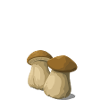 J’peux pas j’vais aux cèpes