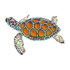 tortue d'eau