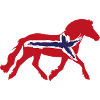 Norvégien avec drapeau