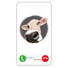 Incoming Call Cow - Funny call