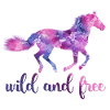 Sauvage et libre - cheval, cheval