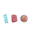 Biology cell biology