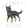 Team Kelpie - Black and Tan